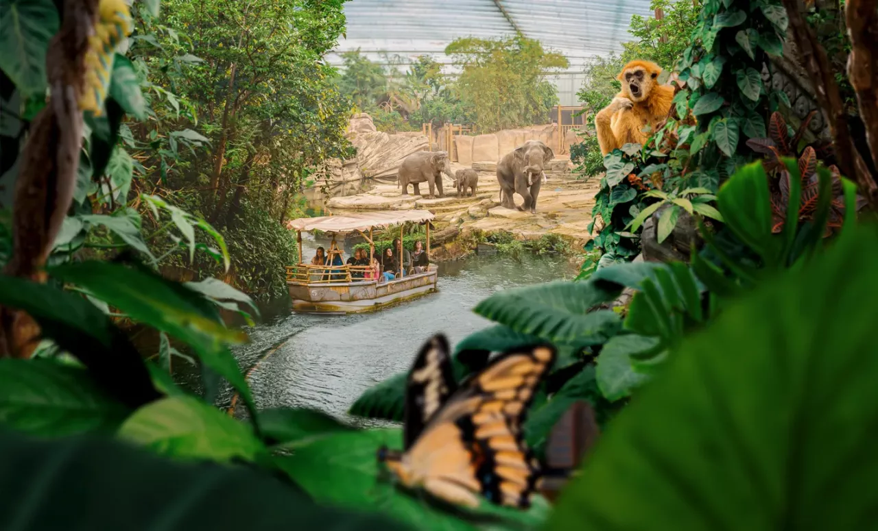 Wildlands: Fotografie, animatie en social media